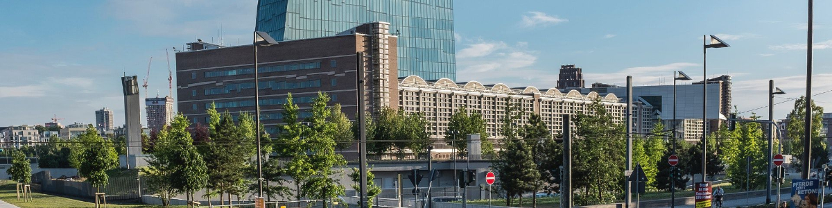 美國公司如何申報(bào)稅務(wù):詳細(xì)步驟和注意事項(xiàng)