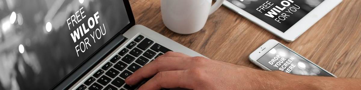 美國和歐洲的公司有營業(yè)執(zhí)照嗎